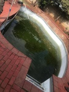 WhatsApp Image 2026 01 17 At 09.29.52 3 225x300